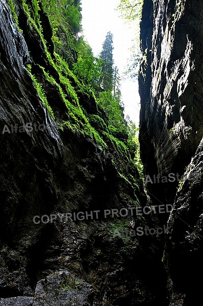 Breitachklamm ravine in Bavaria in Germany