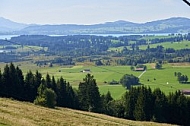 Buchenberg in Buching, Buchenberg Alm, Allgäu, Bavaria, Germany