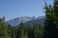 Buchenberg in Buching, Buchenberg Alm, Allgäu, Bavaria, Germany