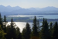 Buchenberg in Buching, Buchenberg Alm, Allgäu, Bavaria, Germany