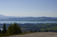 Buchenberg in Buching, Buchenberg Alm, Allgäu, Bavaria, Germany