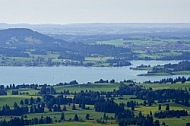 Buchenberg in Buching, Buchenberg Alm, Allgäu, Bavaria, Germany