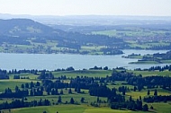 Buchenberg in Buching, Buchenberg Alm, Allgäu, Bavaria, Germany