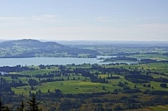 Buchenberg in Buching, Buchenberg Alm, Allgäu, Bavaria, Germany