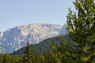 Buchenberg in Buching, Buchenberg Alm, Allgäu, Bavaria, Germany