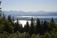 Buchenberg in Buching, Buchenberg Alm, Allgäu, Bavaria, Germany