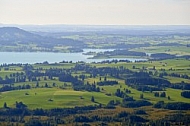 Buchenberg in Buching, Buchenberg Alm, Allgäu, Bavaria, Germany