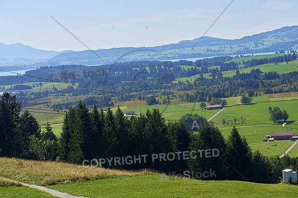 Buchenberg in Buching, Buchenberg Alm, Allgäu, Bavaria, Germany