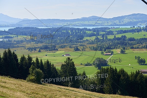 Buchenberg in Buching, Buchenberg Alm, Allgäu, Bavaria, Germany