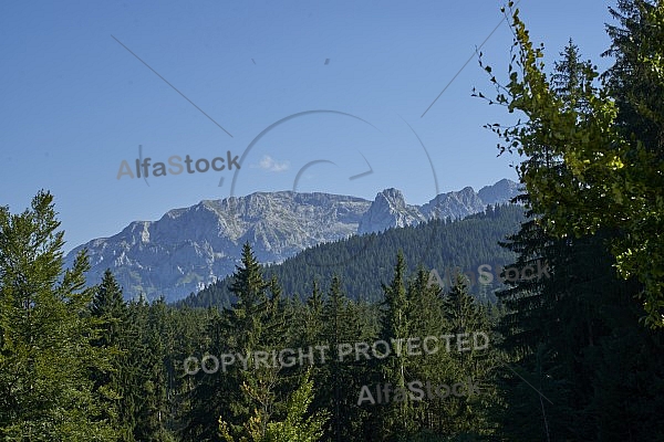 Buchenberg in Buching, Buchenberg Alm, Allgäu, Bavaria, Germany