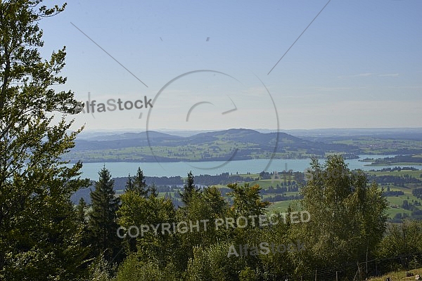 Buchenberg in Buching, Buchenberg Alm, Allgäu, Bavaria, Germany