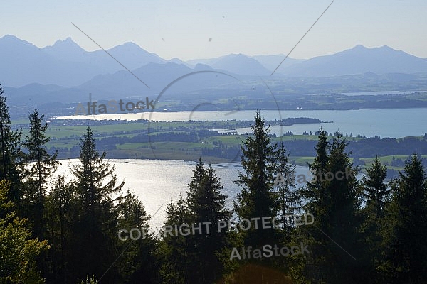 Buchenberg in Buching, Buchenberg Alm, Allgäu, Bavaria, Germany