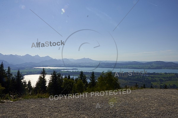 Buchenberg in Buching, Buchenberg Alm, Allgäu, Bavaria, Germany