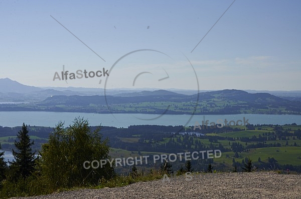 Buchenberg in Buching, Buchenberg Alm, Allgäu, Bavaria, Germany