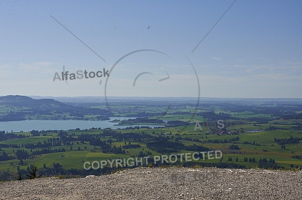 Buchenberg in Buching, Buchenberg Alm, Allgäu, Bavaria, Germany