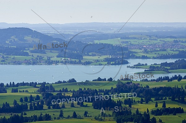 Buchenberg in Buching, Buchenberg Alm, Allgäu, Bavaria, Germany