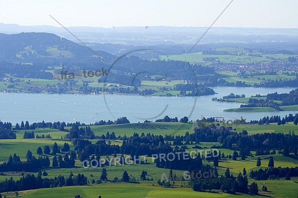 Buchenberg in Buching, Buchenberg Alm, Allgäu, Bavaria, Germany