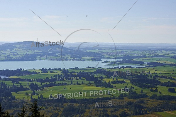 Buchenberg in Buching, Buchenberg Alm, Allgäu, Bavaria, Germany