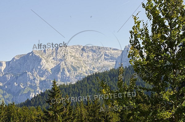 Buchenberg in Buching, Buchenberg Alm, Allgäu, Bavaria, Germany