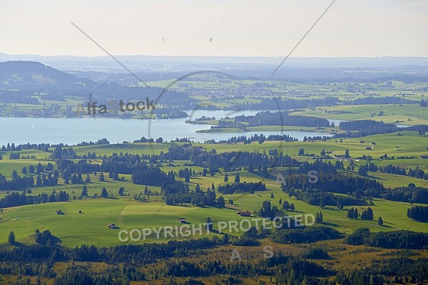 Buchenberg in Buching, Buchenberg Alm, Allgäu, Bavaria, Germany