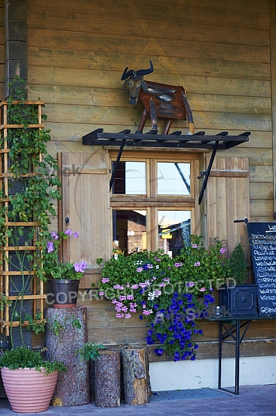 Buchenberg in Buching, Buchenberg Alm, Allgäu, Bavaria, Germany