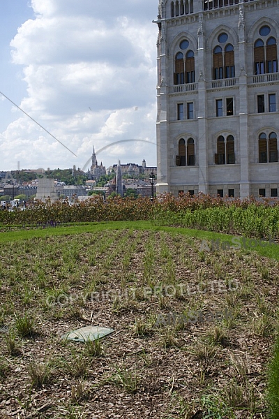 Budapest , Hungary