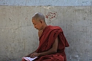 Buddhist Monk 