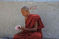 Buddhist Monk 