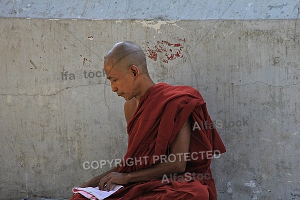 Buddhist Monk 