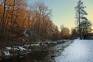 Creek, Forest edges 