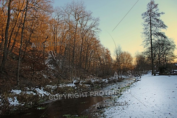 Creek, Forest edges 