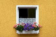 Door, Window