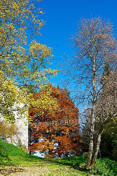 Eisenberg Castle, Ostallgäu, Bavaria, Germany