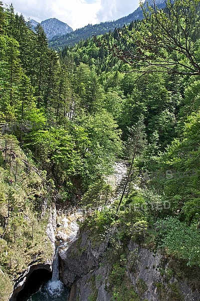 Famous Neuschwanstein Castle in Schwangau, Germany