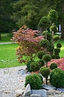 Flowers, plants, background