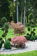 Flowers, plants, background