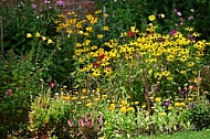 Flowers, plants, background