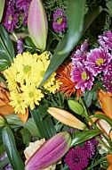 Flowers, plants, background