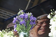 Flowers, plants, background