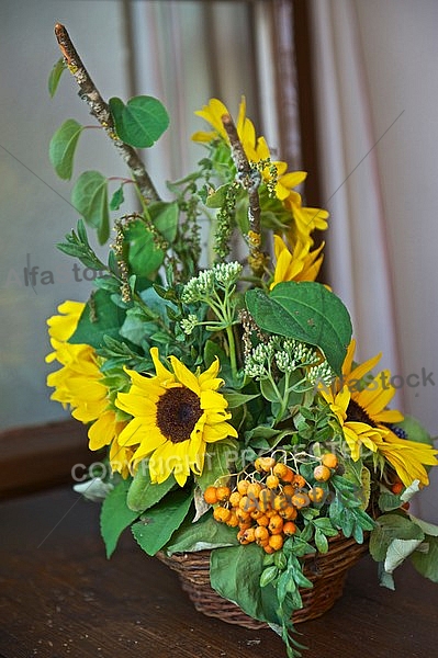 Flowers, plants, background