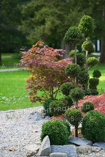 Flowers, plants, background