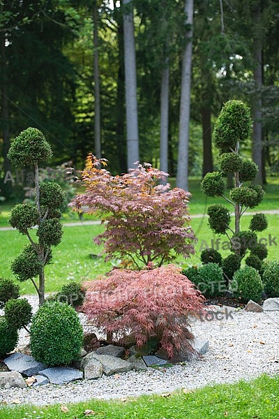 Flowers, plants, background