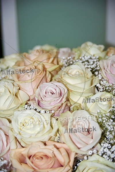 Flowers, plants, background