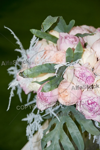 Flowers, plants, background