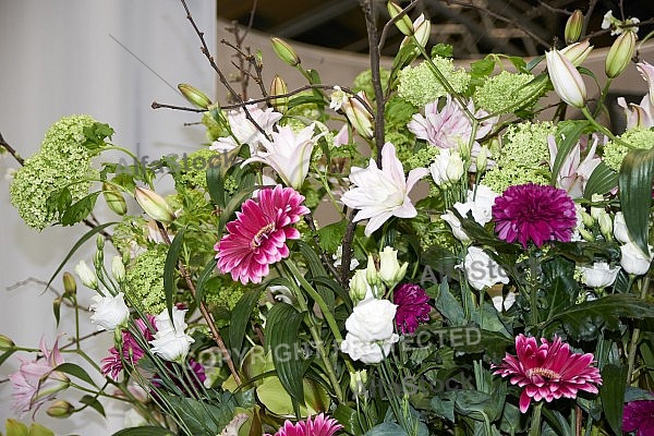 Flowers, plants, background