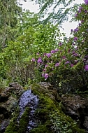 Flowers, plants, background, Spring