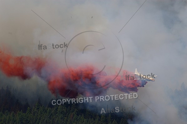 Forest Fire Fighting 