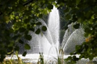 Fountain, water droplets, wet, leaf, green, water.