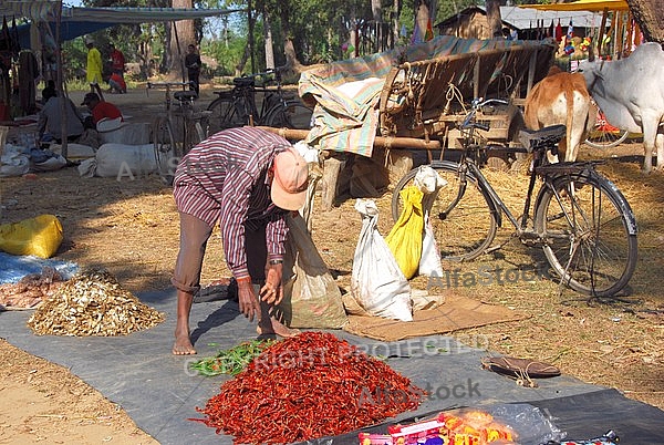 Friday Market