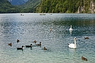 Hohenschwangau, Neuschwanstein, Bavaria, Germany